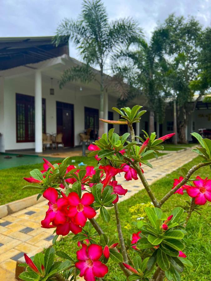Sigiriya Green Garden Home المظهر الخارجي الصورة