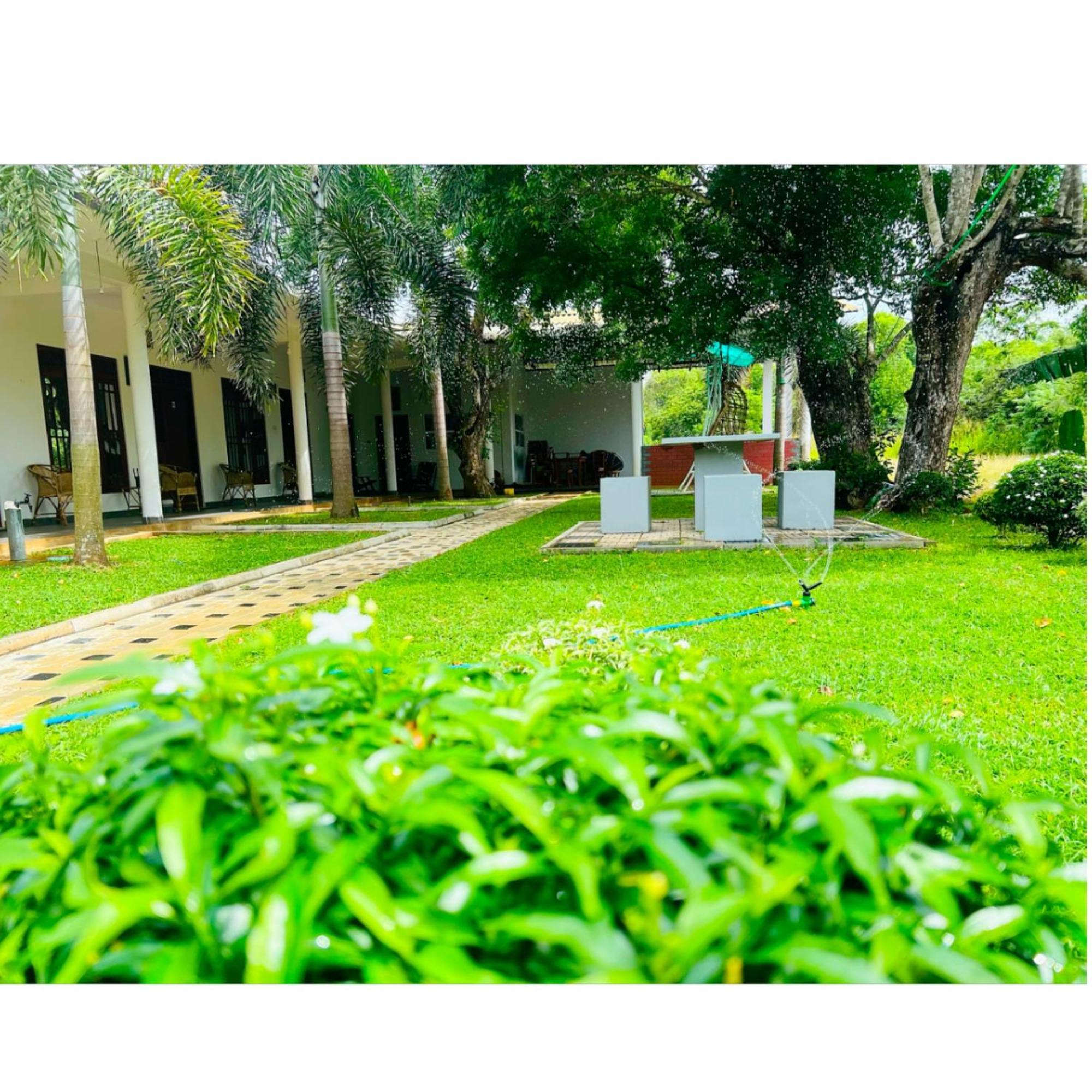 Sigiriya Green Garden Home المظهر الخارجي الصورة